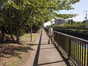 虫とり 虫とり