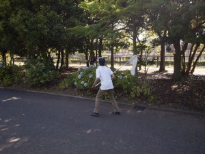 虫とり 虫とり