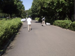 虫とり 虫とり