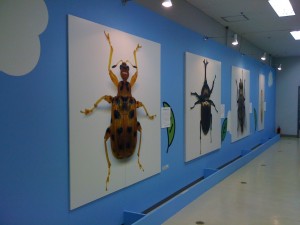 名古屋市科学館で展示中