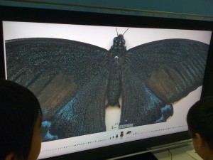 名古屋市科学館で展示中