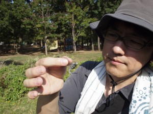 虫とり