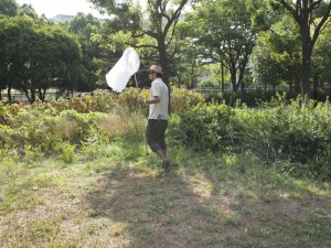 セミの鳴き声はするのだけれども……