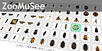 ZooMuSee